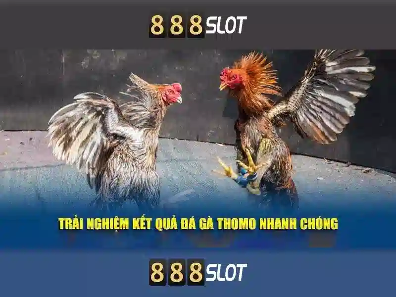 Tận Hưởng Trải Nghiệm Cá Cược Đỉnh Cao Tại 888slot