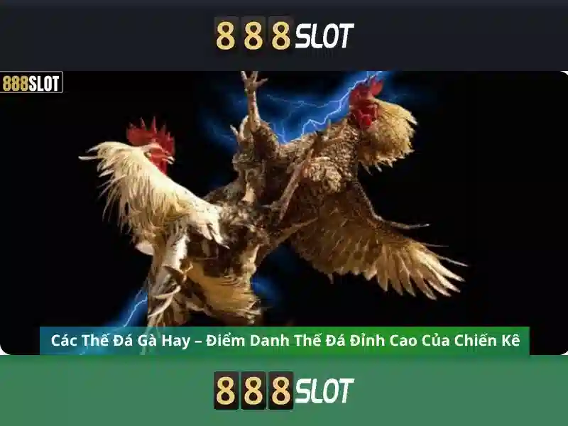 Chiến Thuật Đánh Kèo Thông Minh Cho Người Chơi 888SLOT IMGED --></p><p>Để tối ưu hóa trải nghiệm cá cược tại 888SLOT, người chơi cần nắm vững các chiến thuật đánh kèo hiệu quả. Việc phân tích kỹ thuật và quản lý vốn hợp lý sẽ giúp tăng tỷ lệ thắng và duy trì lợi nhuận trong dài hạn.</p><h3>Phân Tích Kỹ Thuật Chọn Kèo Hiệu Quả</h3><p>888SLOT cung cấp công cụ phân tích kỹ thuật giúp người chơi lựa chọn kèo cược tối ưu. Các chỉ số như thống kê lịch sử, xu hướng thị trường và tỷ lệ thắng sẽ được hiển thị rõ ràng, giúp người chơi đưa ra quyết định chính xác.</p><h3>Quản Lý Vốn Trong Cá Cược Thể Thao</h3><p>Quản lý vốn là yếu tố then chốt trong mọi hình thức cá cược. 888SLOT hướng dẫn người chơi cách phân bổ ngân sách hợp lý, tránh rủi ro và duy trì lợi nhuận trong quá trình chơi. Điều này giúp người chơi tận dụng tối đa cơ hội và giảm thiểu tổn thất.</p><p class='body_img'></p><p>Để tối ưu hóa trải nghiệm cá cược <a href=