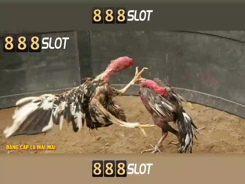 Trải nghiệm slot 888SLOT