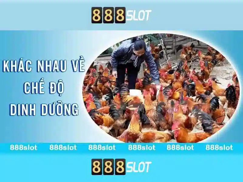 888SLOT – Tải 888slot Download Miễn Phí, Trải Nghiệm Cá Cược Đỉnh Cao 2026