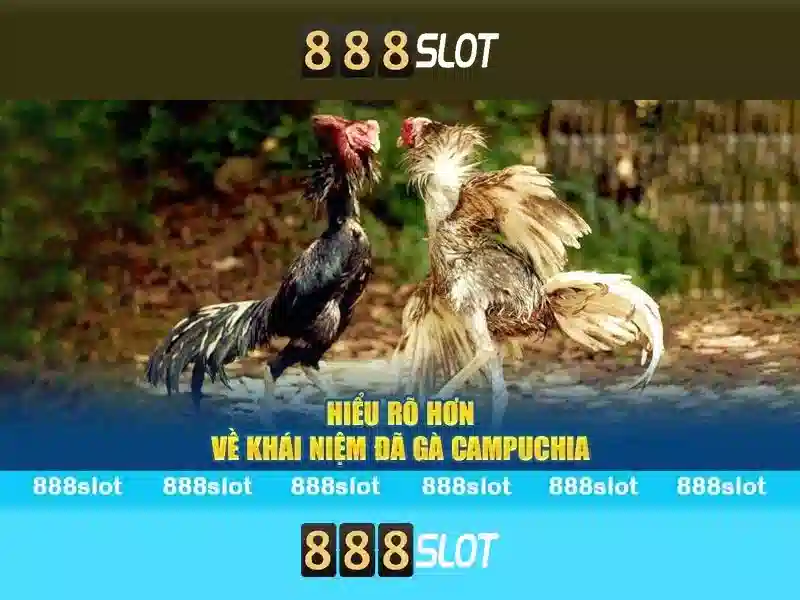Tính năng slot online