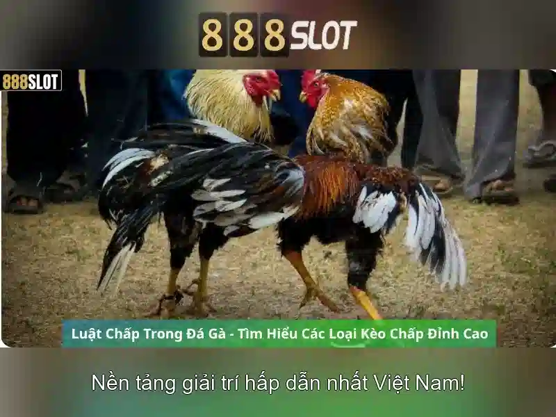 Trải Nghiệm Slot 888SLOT