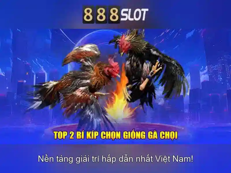 Tính năng 888 slot app