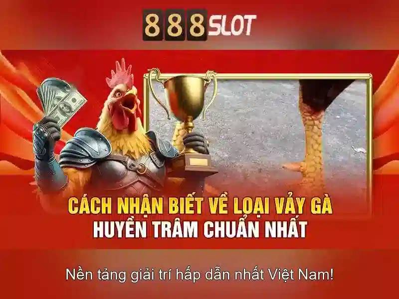 Bảo Tồn Chính Sách 888SLOT