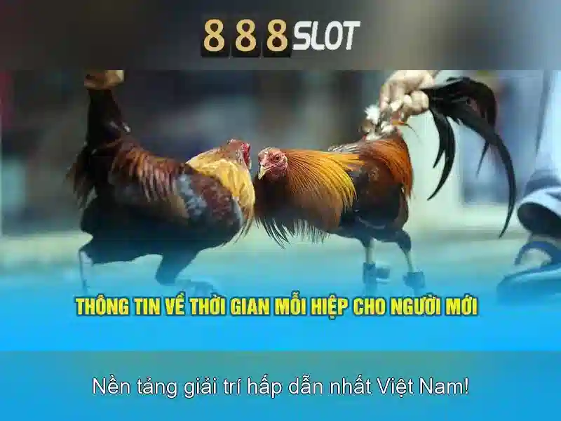 Giới Thiệu 888SLOT
